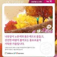 [Newsletter 2024.10] 모두가 행복한 마을을 향합니다.